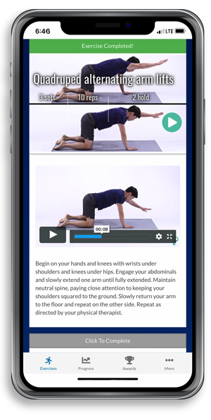 Physical Therapy Home Exercise Program App Example on iPhoneX - Videos, Notes, Tracking